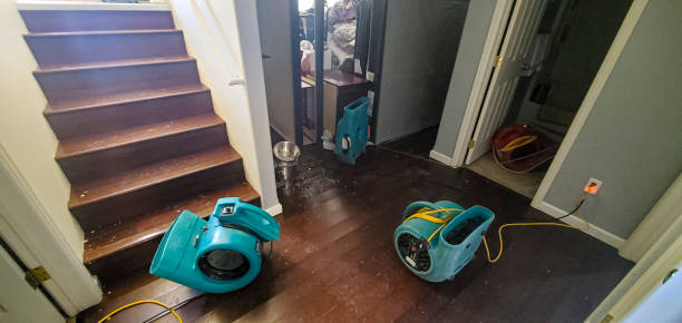 Water damage restoration mold remediation in Falls Creek, PA