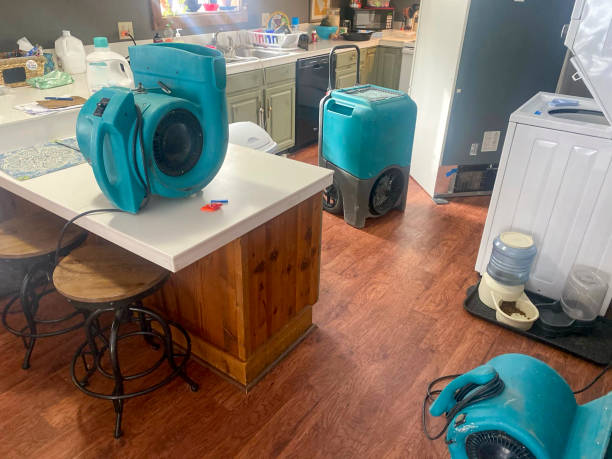 Best Mold removal after water damage  in Falls Creek, PA