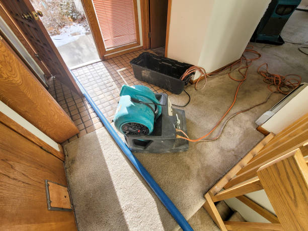 Best Ceiling water damage repair  in Falls Creek, PA