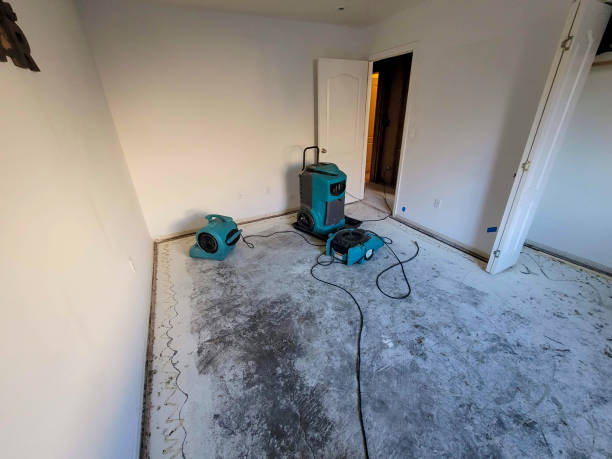 Best Local water damage restoration  in Falls Creek, PA