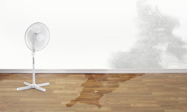 Best 24/7 water damage repair  in Falls Creek, PA